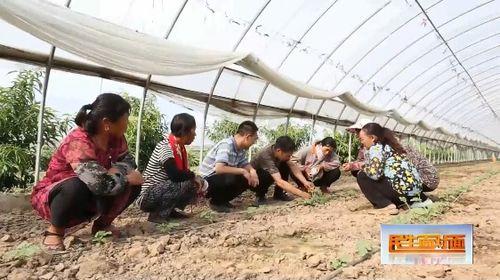 娱乐吃瓜封面如何做视频,揭秘热门内容制作全流程